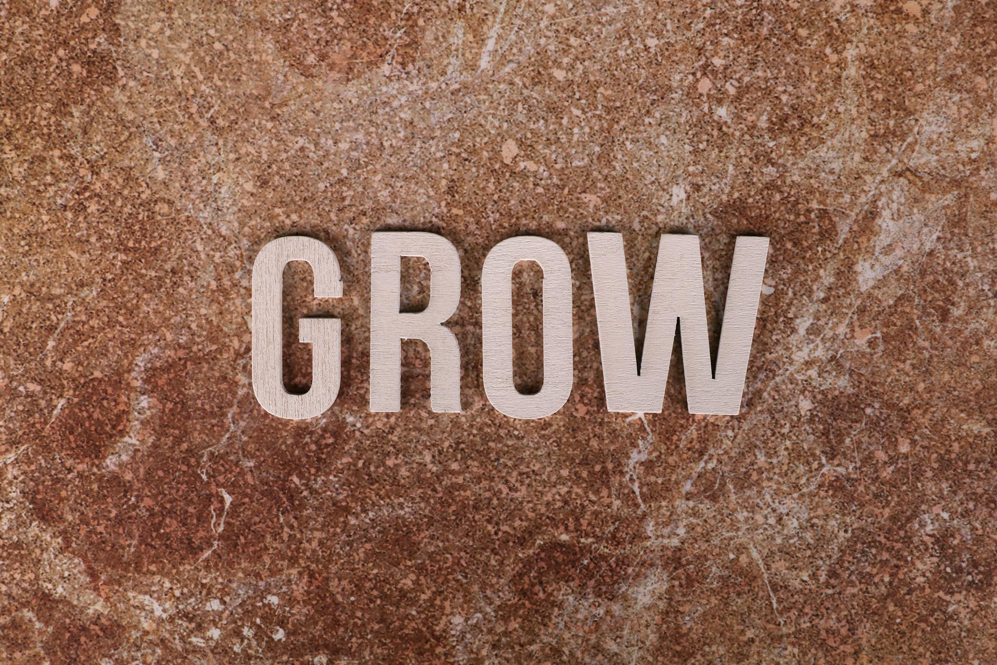The word 'GROW' in wooden letters on a textured marble surface.